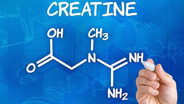 Преимущества и недостатки употребления креатина