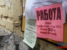 Число вакансий на рынке труда Воронежской области выросло на четверть