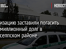 Организацию заставили погасить многомиллионный долг в Кингисеппском районе