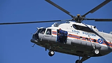 Тела разбившихся на вертолете на Камчатке растерзали звери