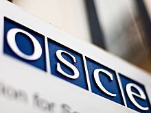 В Совфеде объяснили попытки исключить Россию из ОБСЕ