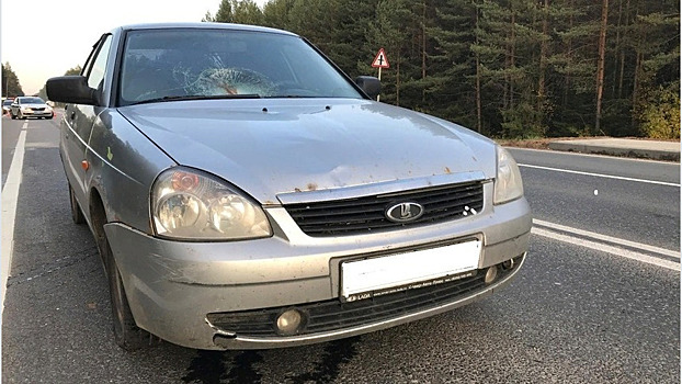 Под Киров на трассе «Приора» сбила пенсионерку: женщина скончалась в больнице