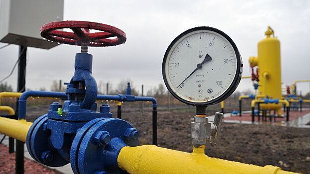 На Украине признали закупку российского газа