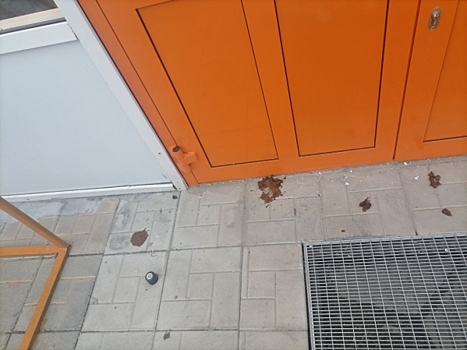 Первый в новосибирском микрорайоне магазин «Монетка» забросали экскрементами за день до открытия