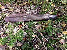 На Древлянке семейная пара обнаружила артиллерийский снаряд во время прогулки с собакой 