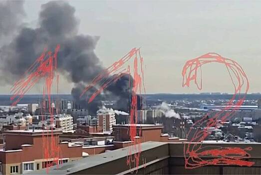 Опубликованы кадры мощного пожара в Подмосковье