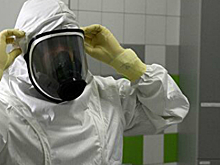 Лаборатории Петербурга за сутки обработали почти 31 тысячу тестов на COVID-19