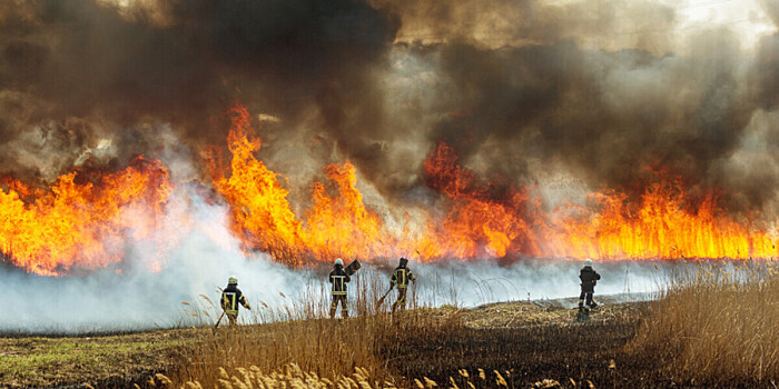 Шквалистый ветер осложнил тушение природных пожаров в Приморье