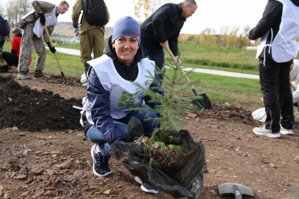 В Красноярском крае волонтеры высадили миллионы деревьев