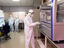 За сутки в России зарегистрировали 4969 случаев заражения COVID-19