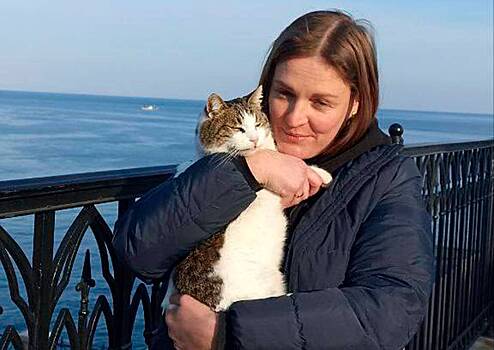 Сброшенная с обрыва в «Ласточкином гнезде» кошка Муся спасена. Спустя три дня после падения ее нашли живой. Вот ее фотография