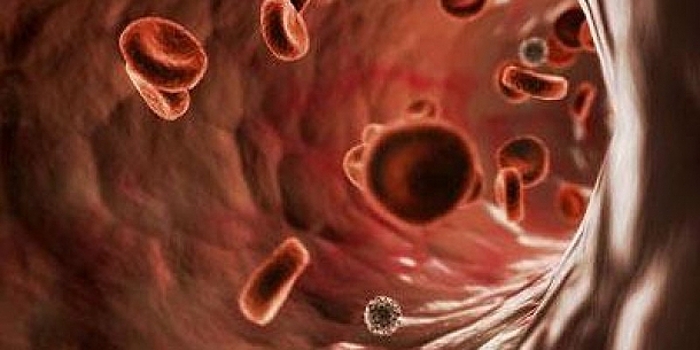 Донорские Т-клетки помешали вернуться острому миелоидному лейкозу