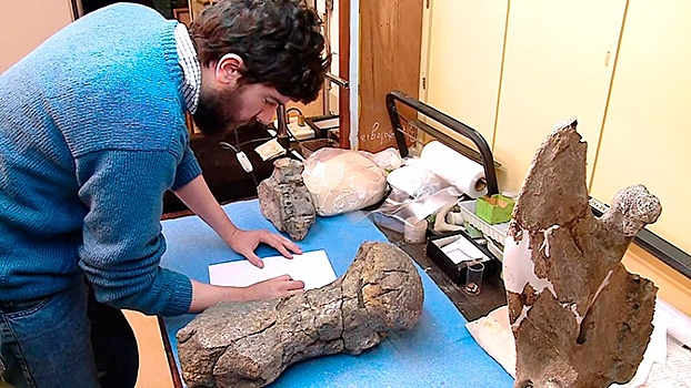 Фрагмент тайны: ученые в Аргентине нашли окаменелости «настоящего Лох-несского чудовища»
