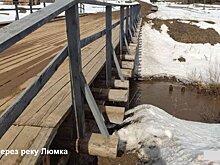 Движение по аварийному мосту через реку Люмка в Глазовском районе будет закрыто