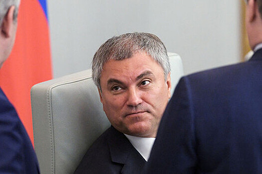 Володин назвал Порошенко "диктатором"