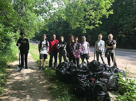 Волонтеры помогли убрать за отдыхающими территорию березовой рощи Ивантеевского лесопитомника