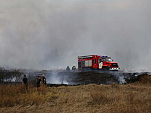МЧС России: Ландшафтные пожары в Курганской области удалось локализовать