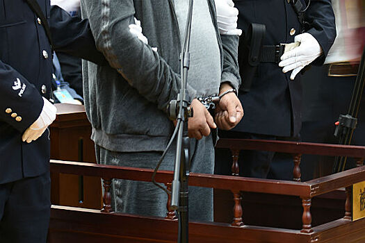 В Китае казнили мужчину, умышленного сбившего толпу школьников