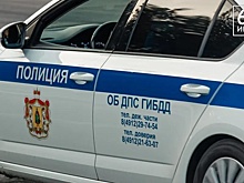 Рязанских водителей просят помочь Госавтоинспекции