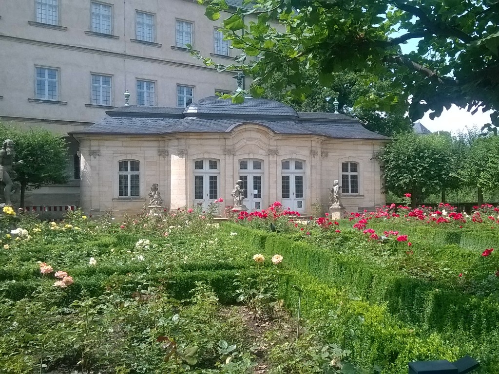 Сад роз, Бамберг, Бавария, Германия, Европа