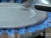 Впереди инфляции, или На чем зарабатывают татарстанские газовики