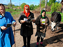 Теплая весна ускорила нашествие мошек и клещей в Ульяновской области