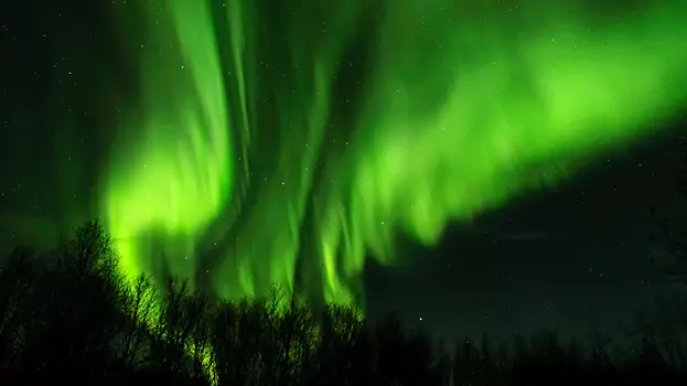 Синоптик: условий для наблюдения северного сияния в Москве нет