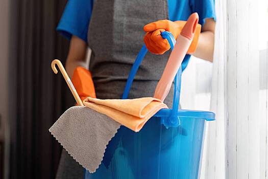 Уборка в российской квартире закончилась преступлением над горничной