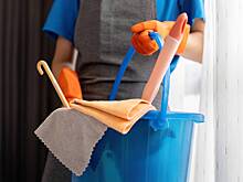 Уборка в российской квартире закончилась преступлением над горничной