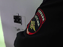 В Пензенской области 16 нелегалов, среди которых трое граждан Германии, ожидают выдворения и депортации