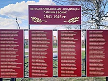 Как поисковики помогают продлить прервавшуюся память поколений