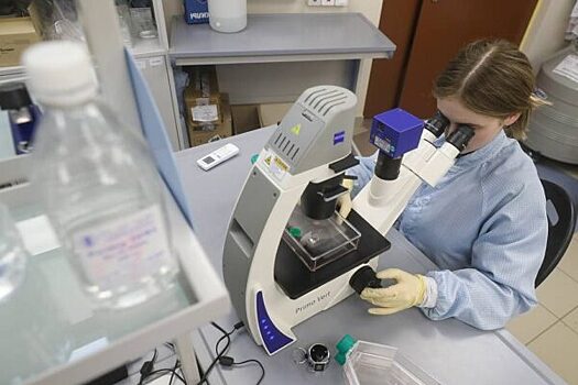 Гель для сживления костей создали ученые Волгоградского медуниверситета