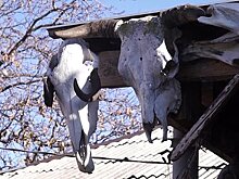 В Северной Осетии началась праздничная неделя в честь Уастырджи