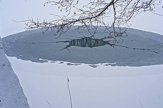 Таинственные «нейроны» нашли на озере в России