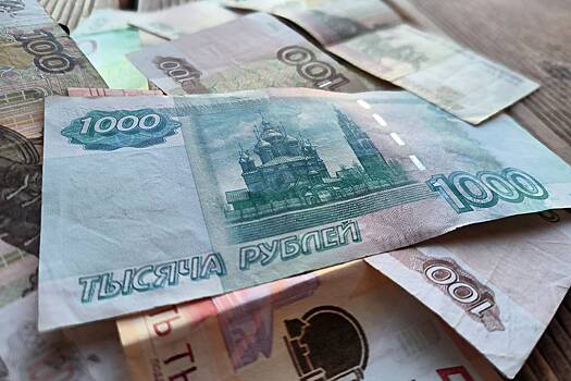 Сенатор рассказал о последствиях несвоевременной уплаты налогов