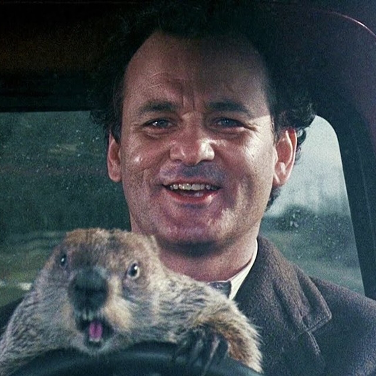 Панксатони штат пенсильвания. 2 февраля день сурка. Падение сурка 1. Падение сурка 1. Гарольд рэмис день сурка.