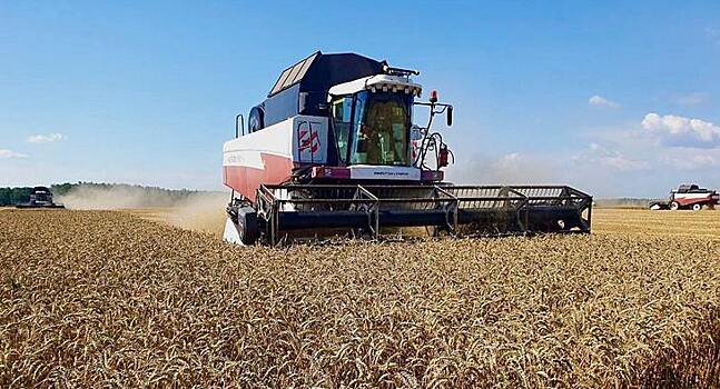 Компания «Щелково Агрохим» начала оснащать свою сельхозтехнику искусственным интеллектом для автономного вождения от Cognitive Pilot