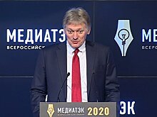Дмитрий Песков: "Турбулентная среда вызвала нестабильность ТЭК, но Россия преодолела трудности"