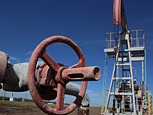 Польша хочет решить проблему грязной нефти на встрече в Москве