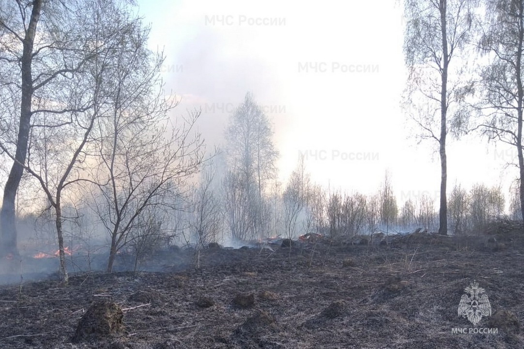 В Калужской области начали выжигать лесную подстилку