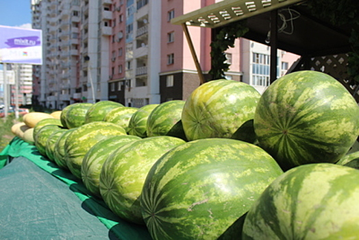 Более 1,1 млн арбузов и дынь продали на бахчевых развалах в Подмосковье с 1 августа