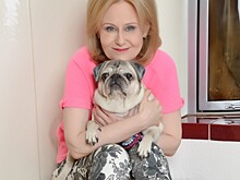 Дарья Донцова: 65 лет оптимизма