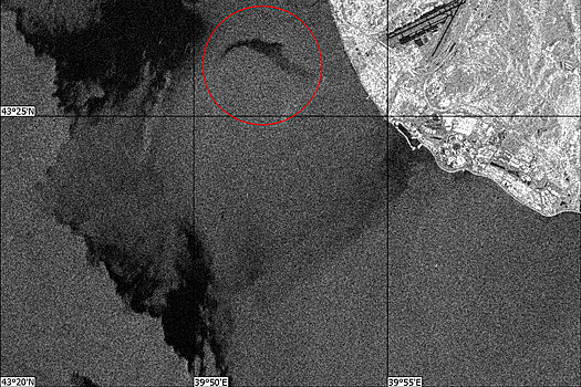 Обнародован снимок района крушения Ту-154 из космоса