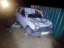 За прошедшие выходные произошло 2 аварии с животными