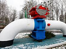 В Transpetro заявили о возобновлении поставок нефти по «Дружбе» в Чехию вечером 12 августа