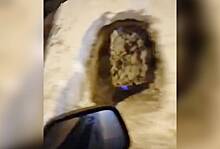В Подмосковье коммунальщики вырыли туннель в сугробе для пешеходов