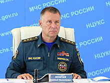 Главе МЧС Зиничеву присвоено звание генерала армии
