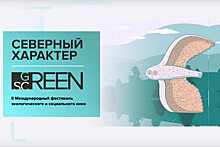 Международный кинофестиваль "Северный Характер: green screen" пройдет в Мурманской области