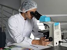 Будущее «умной» нации. Кто и как на Среднем Урале взращивает юных гениев