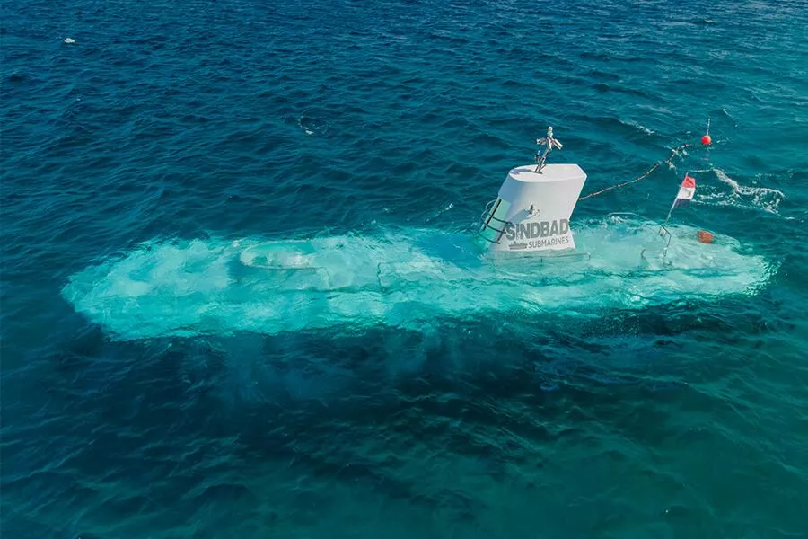 Пассажирка с затонувшего батискафа Синдбад рассказала о моменте затопления судна